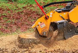 Best Lawn Renovation and Restoration  in Colfax, CA